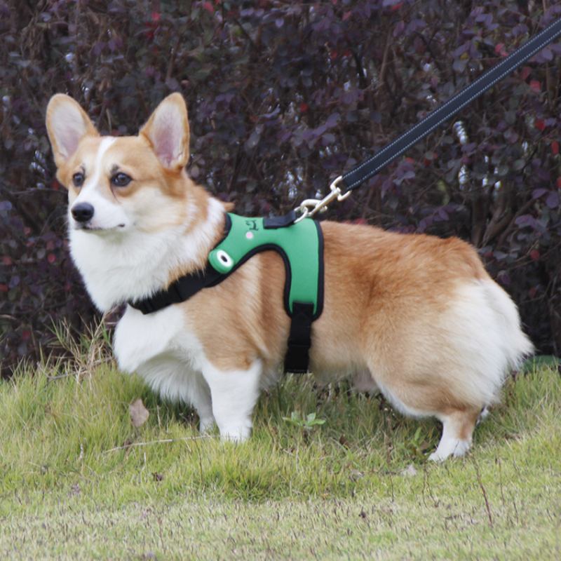 Χαριτωμένο Frog Dog Chest Strap Corgi Fight Traction Γιλέκο Για Κατοικίδια