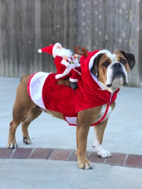Χριστουγεννιάτικη Στολή Σκύλου Για Κατοικίδια Ρούχα Ιππασίας Άγιου Βασίλη Για Ιππασία Ελαφιών