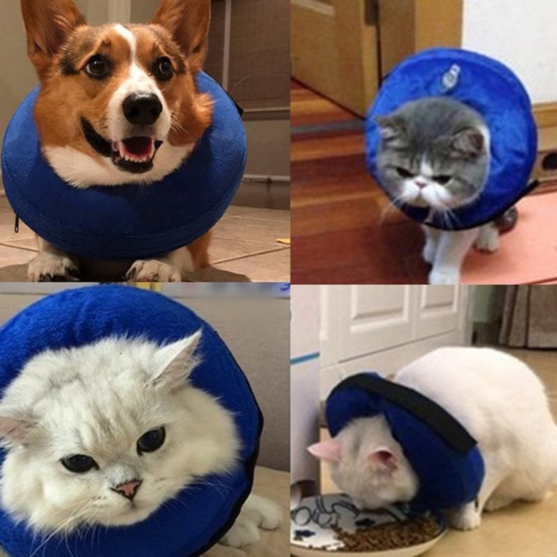 Χρώμα Μπλε Pet Dog Cat Elizabethan Collar Puppy Wound Healing Protective E-collar