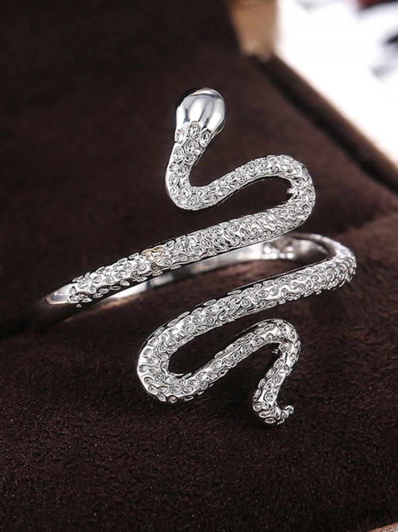 Δώρο Κοσμήματος Vintage Animal Women Ring Punk Snake