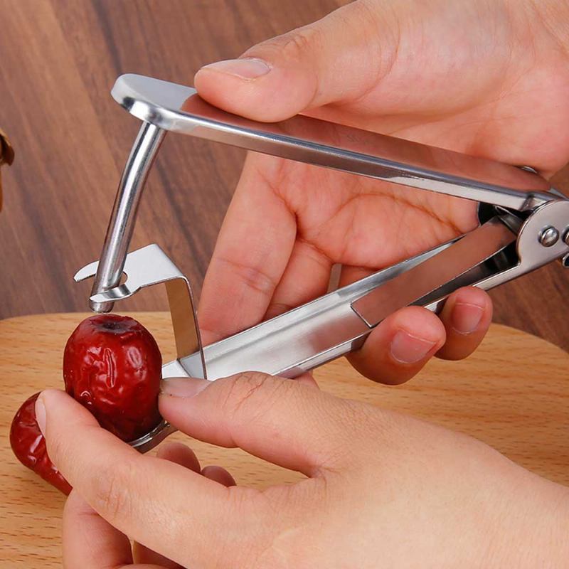 Fruit Nuclear Remover Tool Cherry Slicer Hawthorn Seeder Olive Pitter