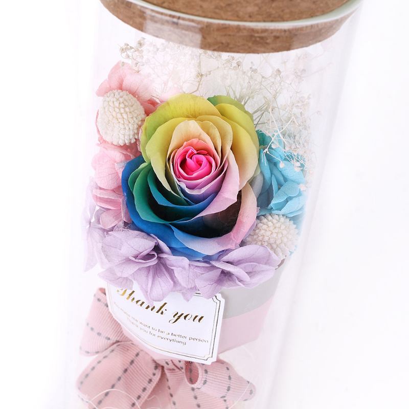 Rainbow Rose Night Light Δώρο Για Την Ημέρα Του Αγίου Βαλεντίνου Ρομαντική Διακόσμηση Dried Flower Eternal