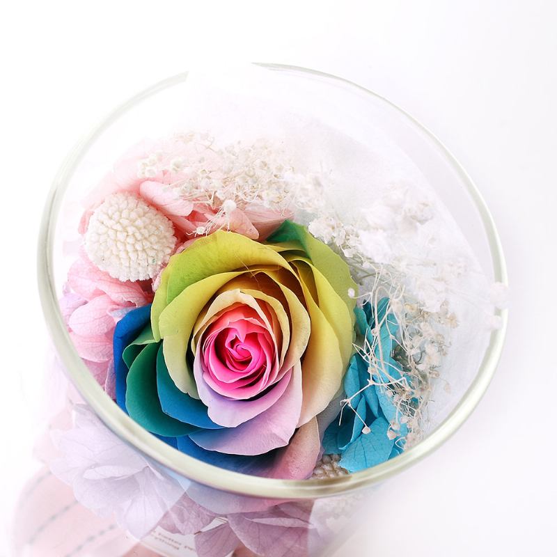 Rainbow Rose Night Light Δώρο Για Την Ημέρα Του Αγίου Βαλεντίνου Ρομαντική Διακόσμηση Dried Flower Eternal